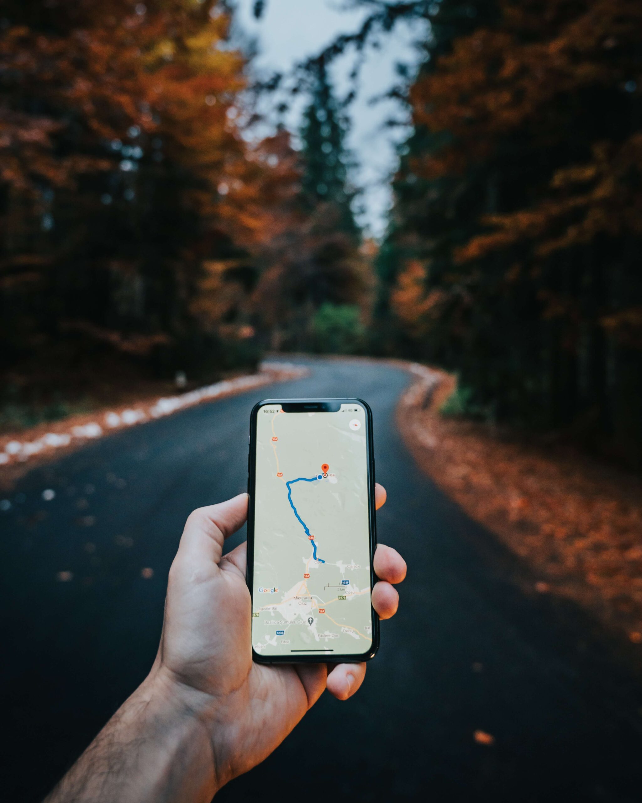 Someone holding a smartphone with the maps on the screen, the background is blurred, but you can see the asphalt curving around the forest
