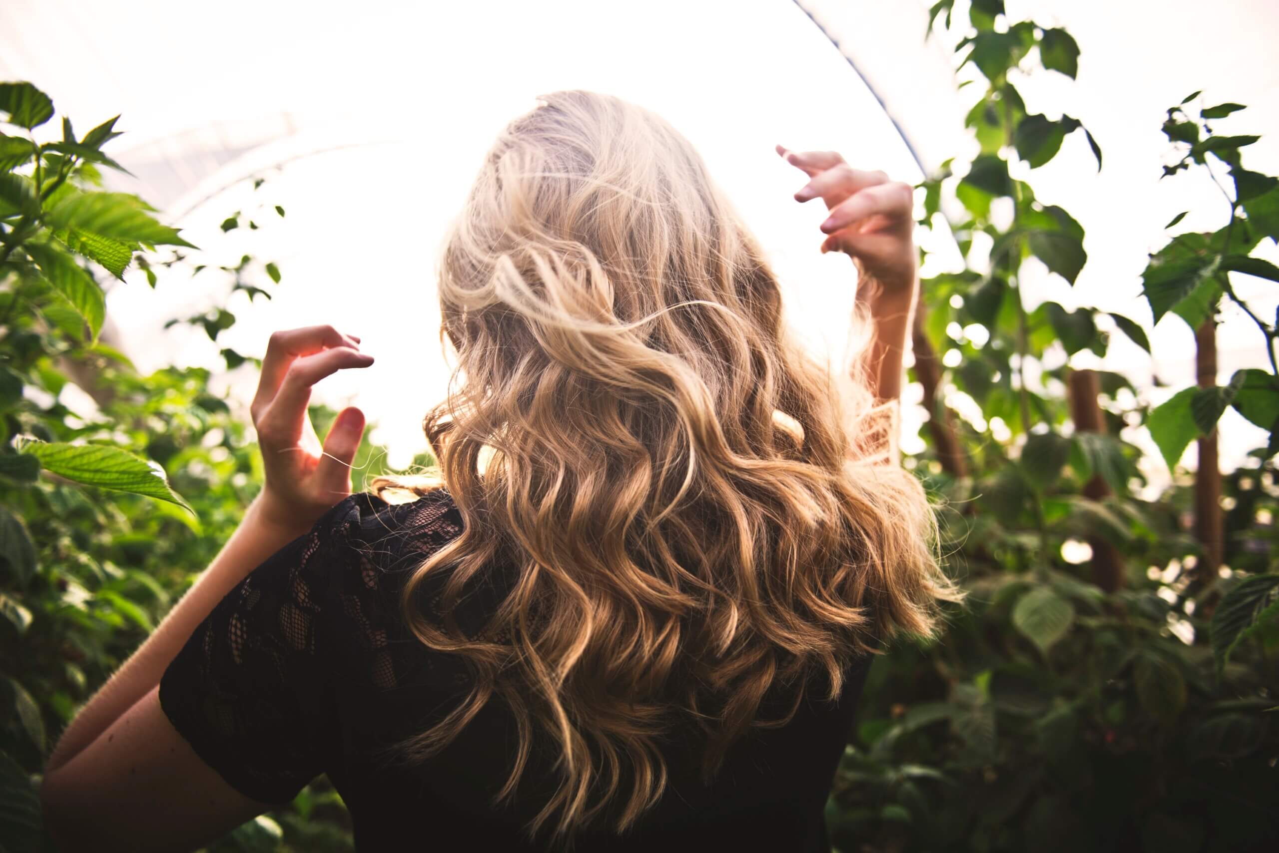 Close-up photo of a woman walking away from the camera, she has long wavy hair and she is wearing a black dress. Shot in a greenhouse.